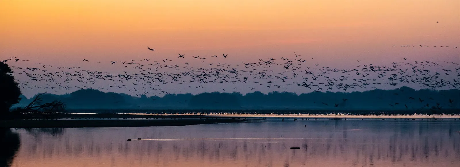 Thol Lake Wildlife Sanctuary